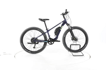 Liv Tempt E+ Jr. E-Bike